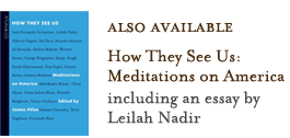 How They See Us: Meditations on America_including an essay by Leilah Nadir